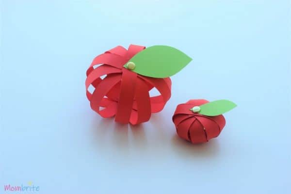 3d apple craft 2 apples