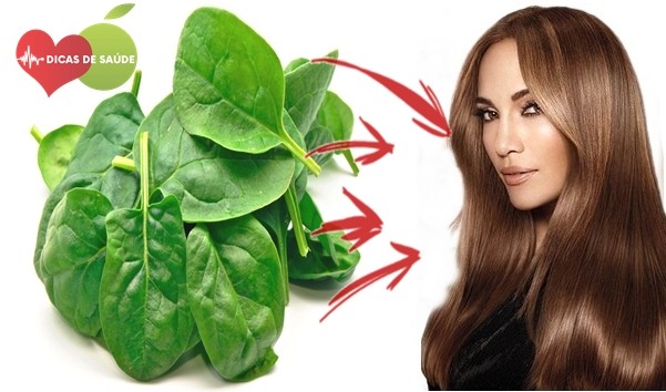 espinafre-beneficios-cabelo | Dicas de Saúde Benefícios do Espinafre Para o Cabelo