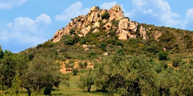 Cerro Ardite