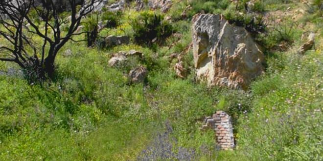 Fuente de la Rehumbrosa
