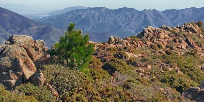 Trincheruelas, de 1.409 m