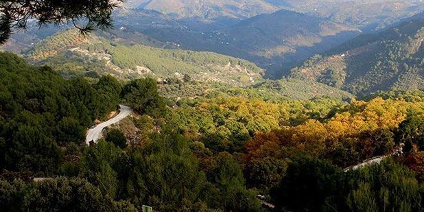 Cuando el otoño llega a la Sierra de las Nieves