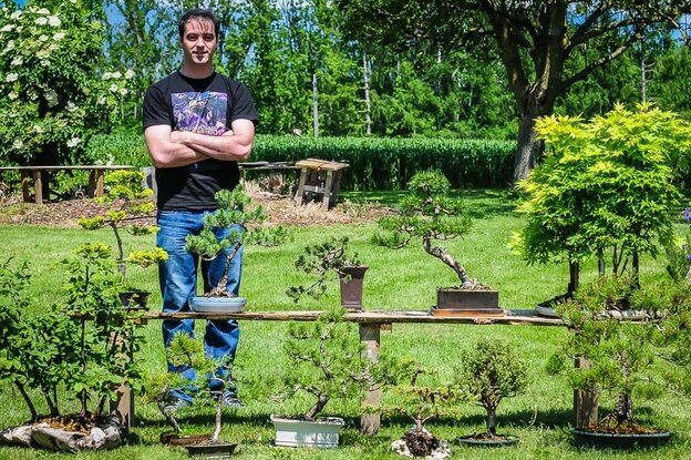 Amoureux de la nature : quand le bonsaï appelle Gilles Favarel 3 Une partie de la collection de bonsaïs de Gilles