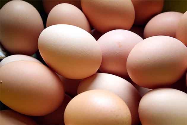 ovo é um superalimento ovo é um superalimento