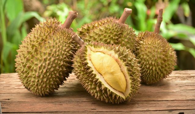 Durian | Dicas de Saúde