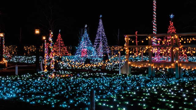 Lights on the Island