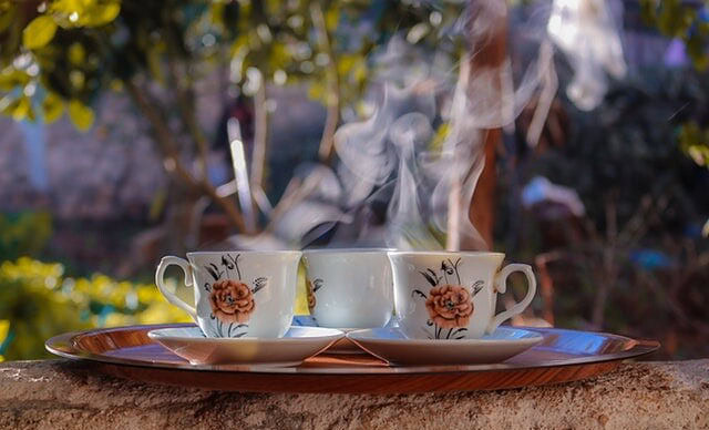 best tasting oolong teas best tasting oolong teas