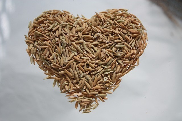 arroz castanho para diabeticos | Dicas de Saúde arroz castanho para diabeticos