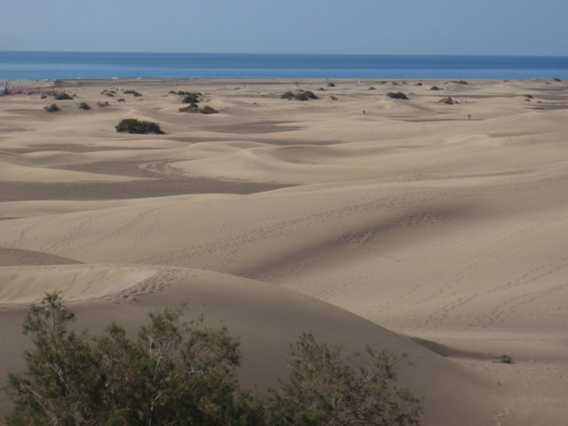Dunas Las Maspalomas Dunas Las Maspalomas