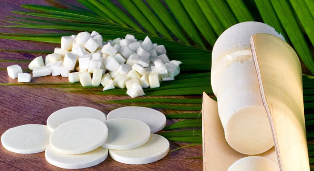 Palmito de Guariroba | Dicas de Saúde Palmito de Guariroba
