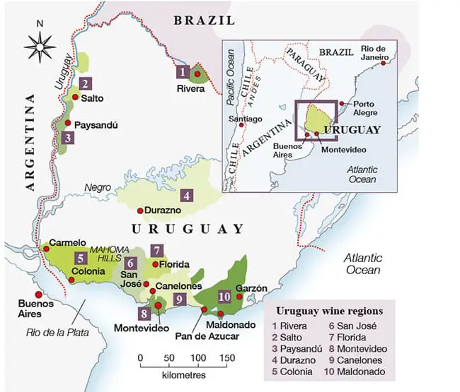 Guia de Enoturismo no Uruguai: 5 vinícolas incríveis Guia de Enoturismo no Uruguai: 5 vinícolas incríveis