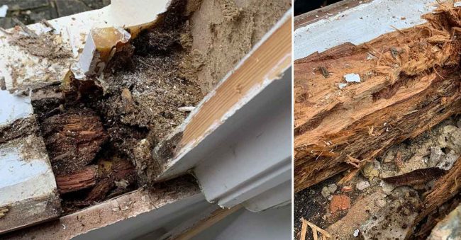 rotten sash window and casement window sills for repair and renovation