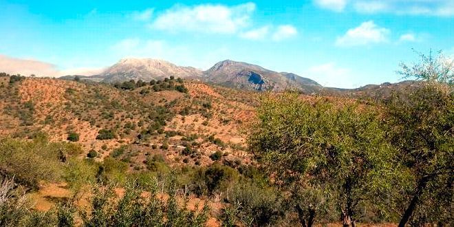 camino havia la loma de pola