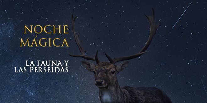 Noche mágica en la EcoReserva Ojén, observación de ciervos y lluvia de estrellas
