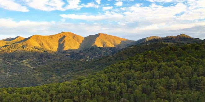 Loma de la Campana- Cañada de la Tocha
