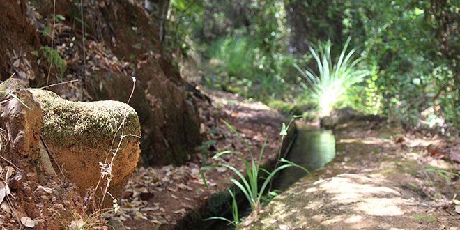 SENDERO PR-A 280 ISTÁN – CHARCO DEL CANALÓN