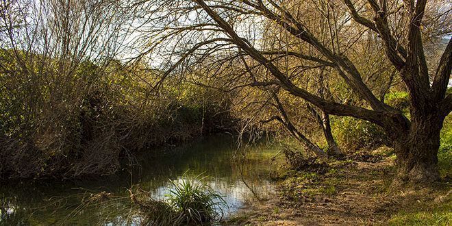 Paseo por el cauce del Río Turón