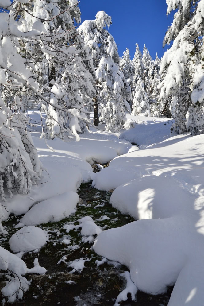 Mount Parnitha Greece