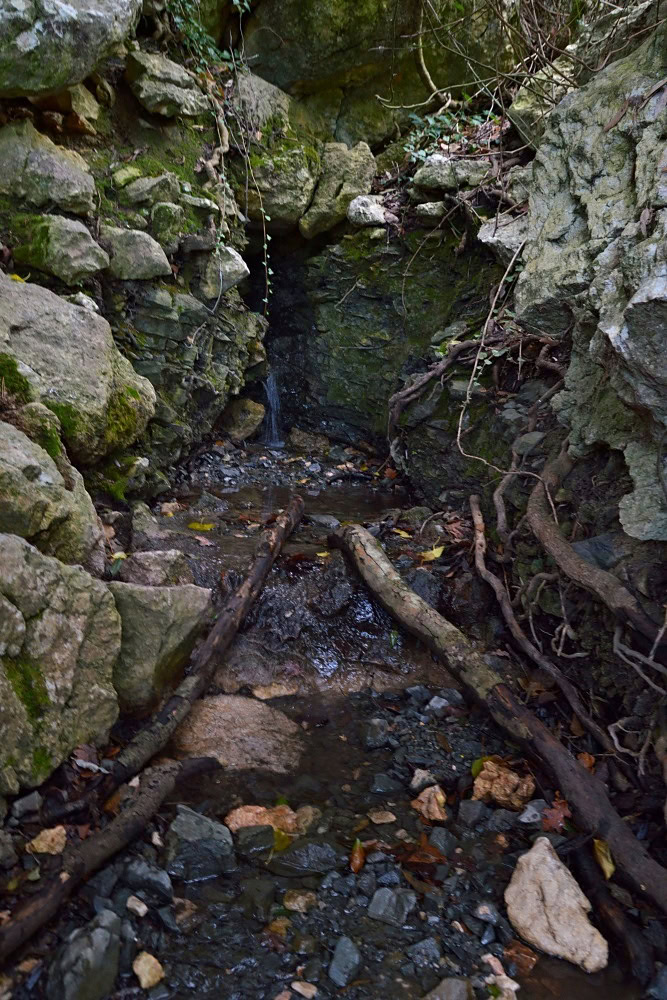 Trail to Katsimidi, Parnitha, Greece 1