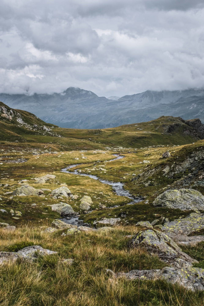 Wasserlauf zwischen Graslandschaft