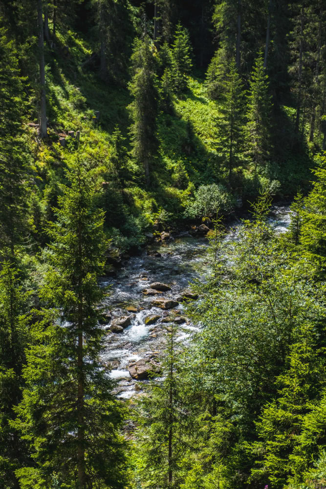 Fasulbach eingerahmt von Tannen auf der Verwallrunde