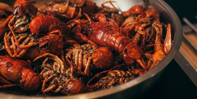 Раки вареные: рецепты и советы как вкусно варить живых раков