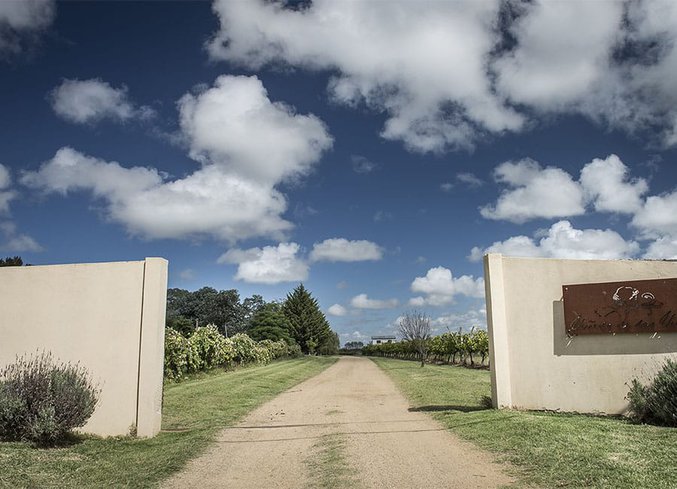 Guia de Enoturismo no Uruguai: 5 vinícolas incríveis Guia de Enoturismo no Uruguai: 5 vinícolas incríveis