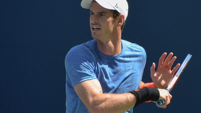 Andy Murray v Robin Haase Live Streaming & Prediction