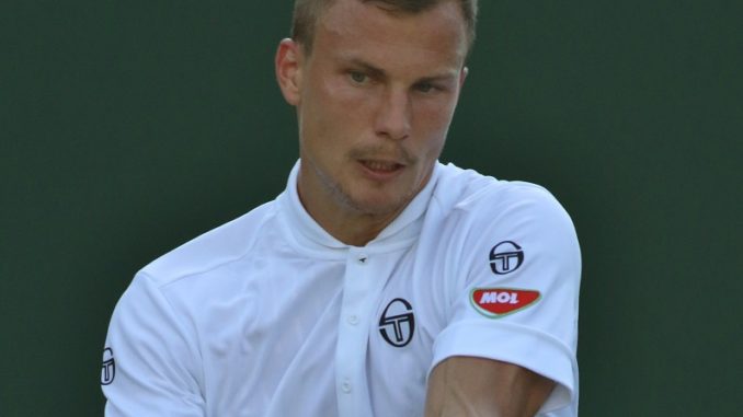 Lorenzo Sonego v Marton Fucsovics Live Streaming, Prediction