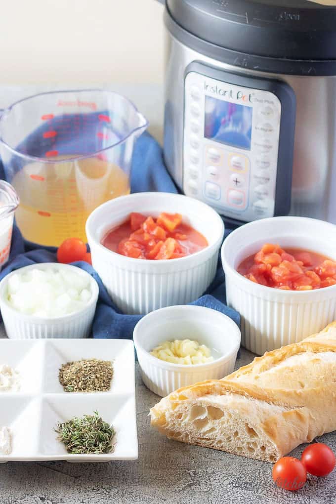 The cream of tomato soup ingredients like, diced tomatoes, onion, garlic, and chicken broth.