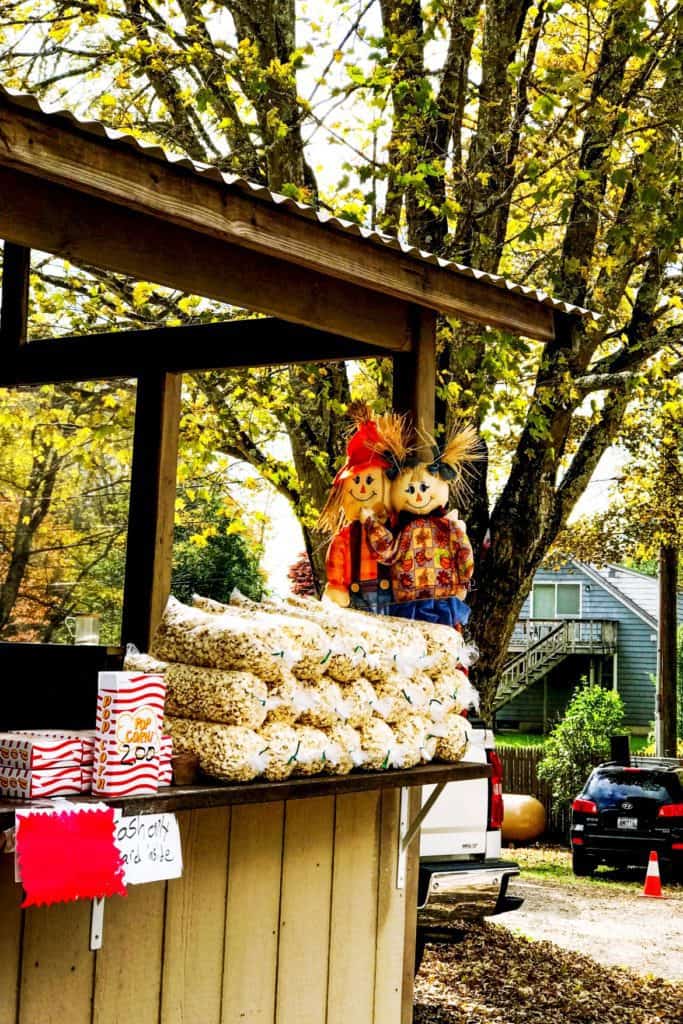 Apple Cider, Connecticut - Visit BF Clyde's Cider Mill in Old Mystic, CT for the best apple cider and cider donuts anywhere! This 137-year-old steam powered cider mill (the oldest in the US) is a must if you're in Southestern CT in the fall. #clydescidermill #newengland #connecticut #mysticct #newenglandtravel #connecticuttravel #thingstodoinct #fallinct #fallinnewengland