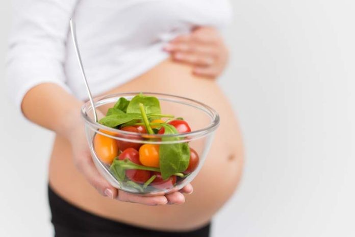 o que comer com 18 semanas de gravidez | Dicas de Saúde