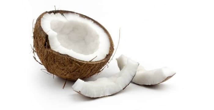 Coconut