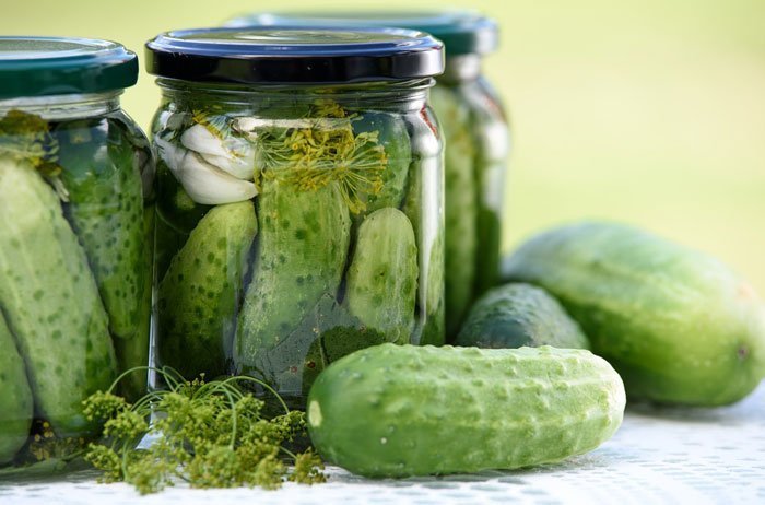 Can dogs eat pickles?