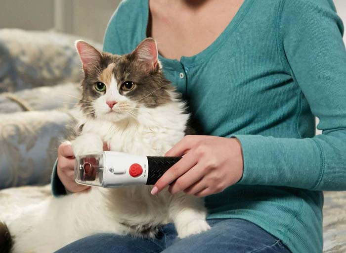 Paw Perfect Nail Trimmer and cat