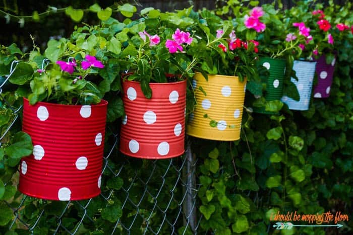 tin can flower garden