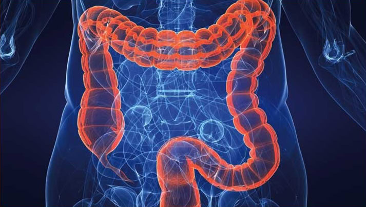 os Alimentos que Ajudam a Desintoxicar | Dicas de Saúde