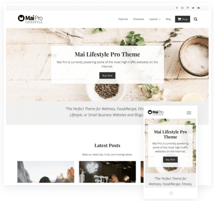 wordpress ecommerce themes wordpress ecommerce themes