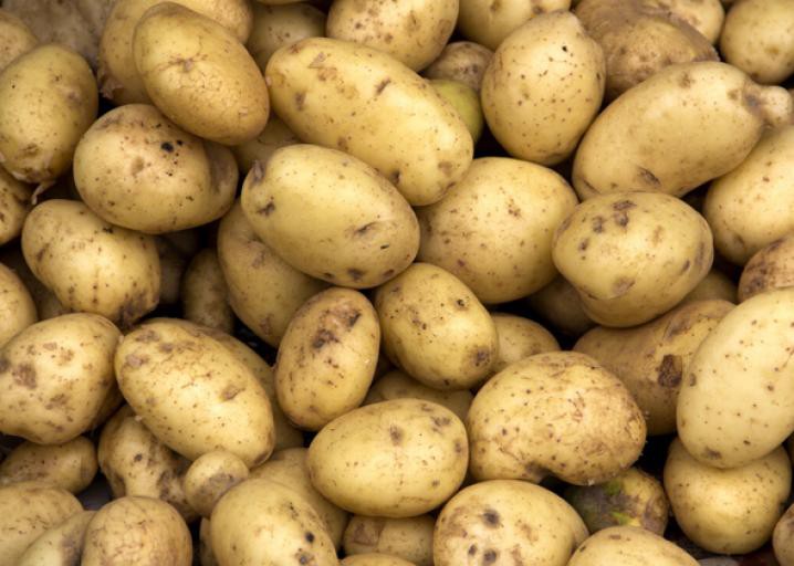 batata | Dicas de Saúde