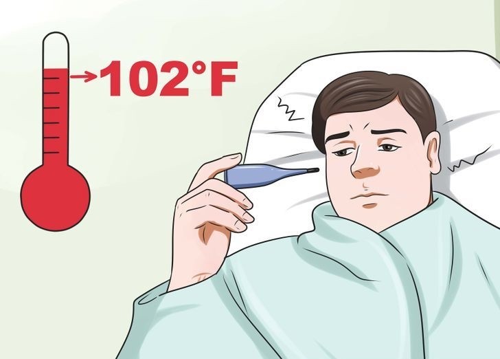 combater-a-malaria-remedios-caseiros | Dicas de Saúde Remédios Caseiros Para Combater a Malaria