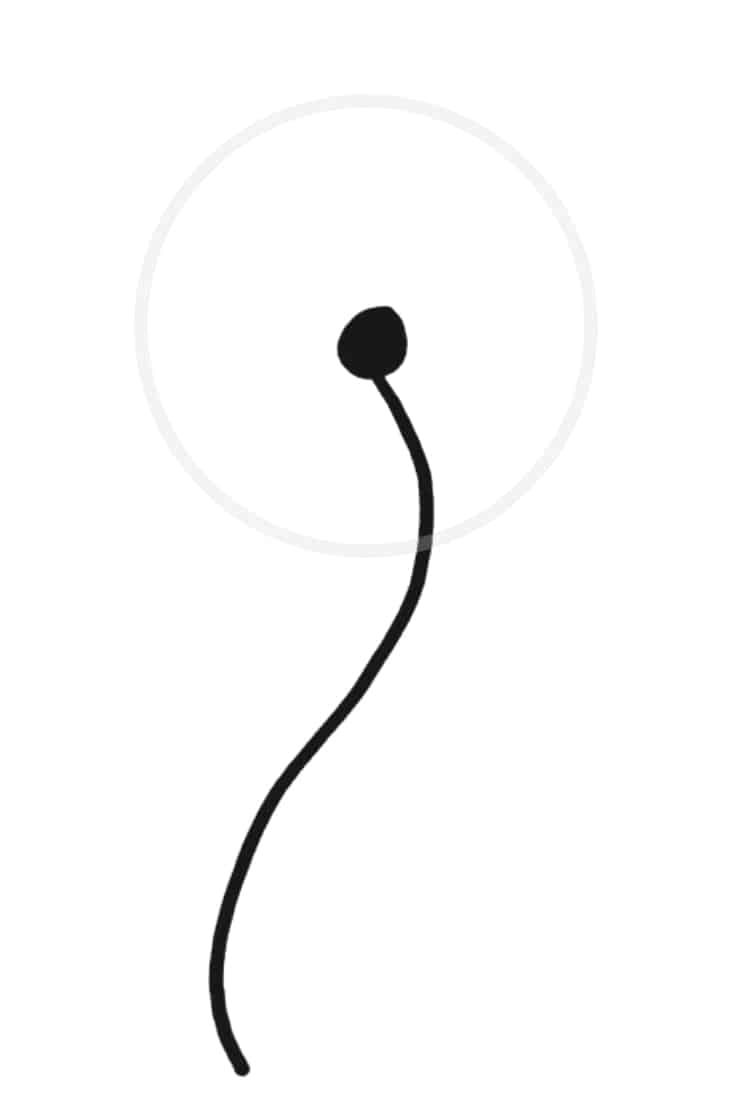 How To Draw A Dandelion Easy Dandelion Drawing Step By Step Tutorial With this how to draw a rose step by step tutorial makes drawing this beautiful flower super easy ready to start drawing? how to draw a dandelion easy dandelion