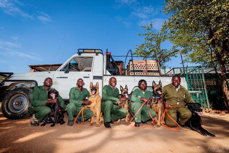 World Ranger Day interview
