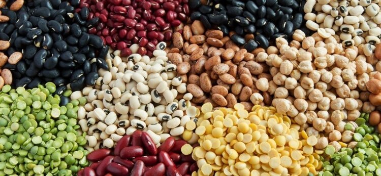 feijao para colesterol alto | Dicas de Saúde
