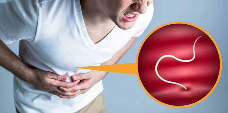 Chá de Erva Doce Para Eliminar Vermes Intestinais Chá de Erva Doce Para Eliminar Vermes Intestinais