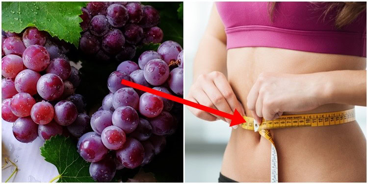 dieta da uva | Dicas de Saúde dieta da uva
