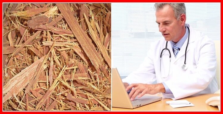 como emagrecer com limão e gengibre | Dicas de Saúde como emagrecer com limão e gengibre