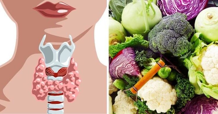 dieta da tireoide funciona | Dicas de Saúde