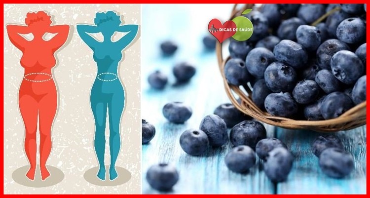 dieta do açaí | Dicas de Saúde dieta do açaí