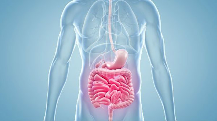 Isquemia Intestinal1 | Dicas de Saúde