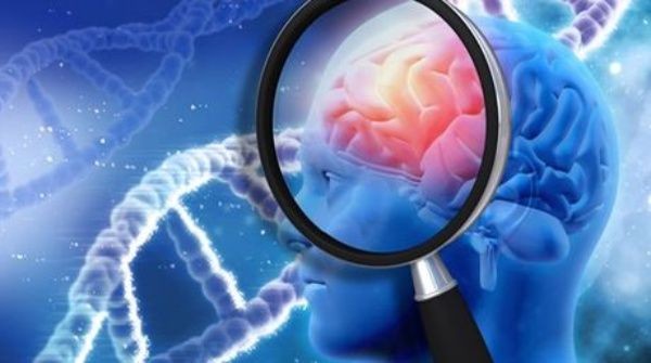 tratamento da doença de alzheimer | Dicas de Saúde tratamento da doença de alzheimer